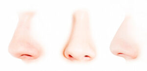 balanced nose shape